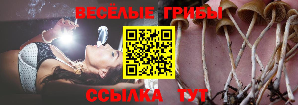 Галлюциногенные грибы ЛСД  Псилоцибиновые грибы мицелий  Вход с VPN  Полысаево 